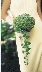 Flowers For The Wedding
