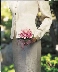Flowers For The Wedding