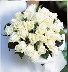 Flowers For The Wedding