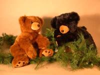 Bears