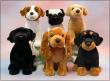 Dogs